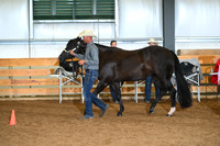 Open Performance Mares