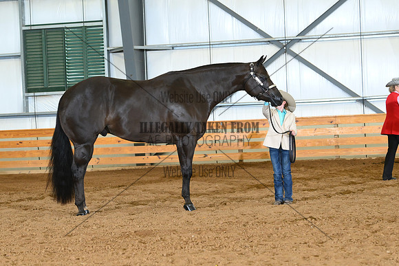 AJB_0662