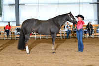 AJB_0652