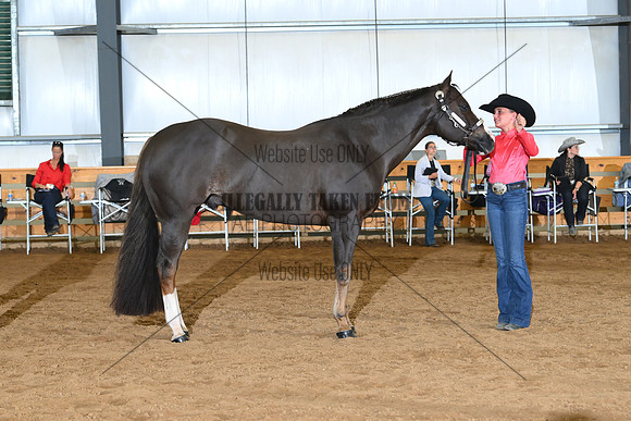 AJB_0652