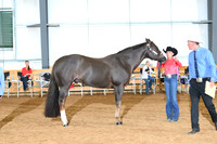 AJB_0650