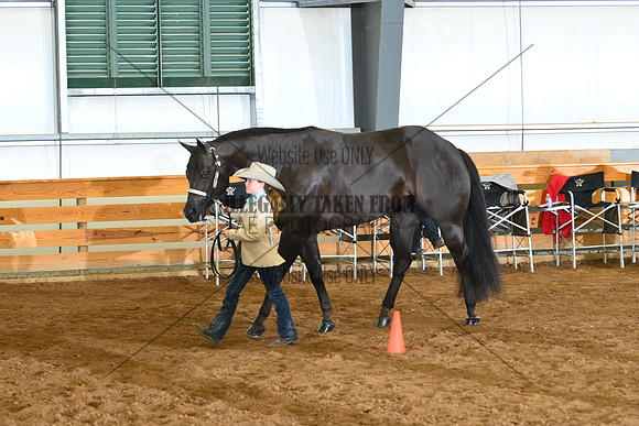 AJB_0648