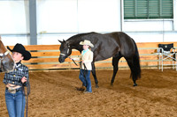 AJB_0649