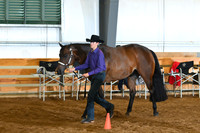 AJB_0646