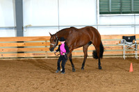 AJB_0641