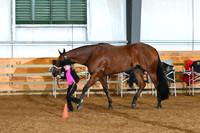 AJB_0640