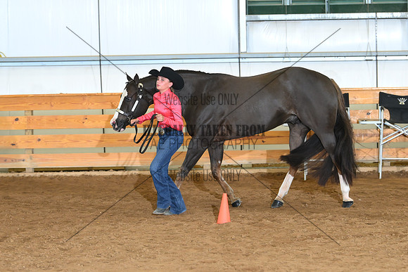 AJB_0636