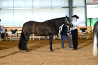 AJB_0549