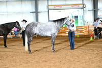AJB_0548