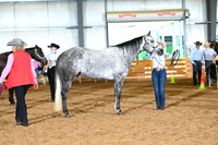 AJB_0546