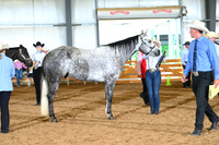 AJB_0545