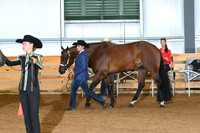 AJB_0541