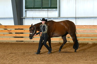 AJB_0538