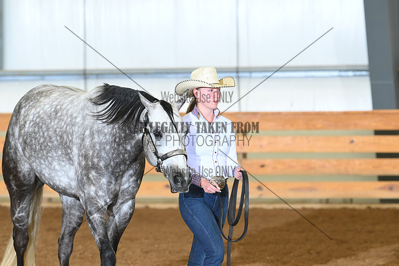 AJB_0534