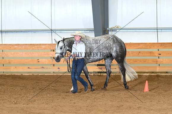 AJB_0532