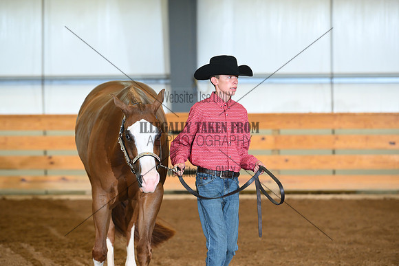 AJB_0429