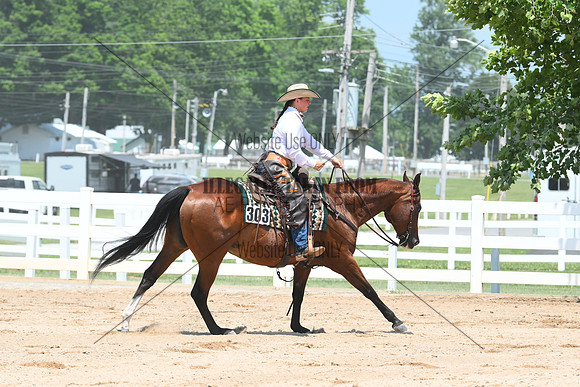 AJB_0828