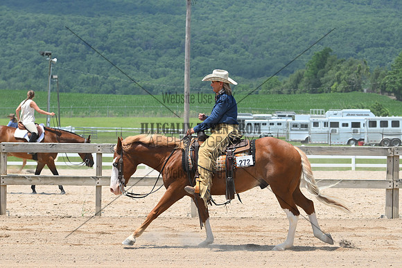 AJB_0799
