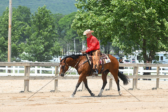 AJB_0791