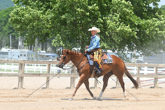 AJB_0788