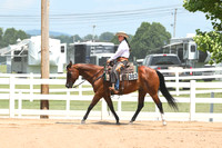 AJB_0781