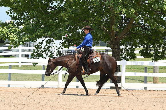 AJB_0768