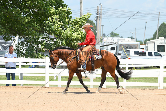 AJB_0767