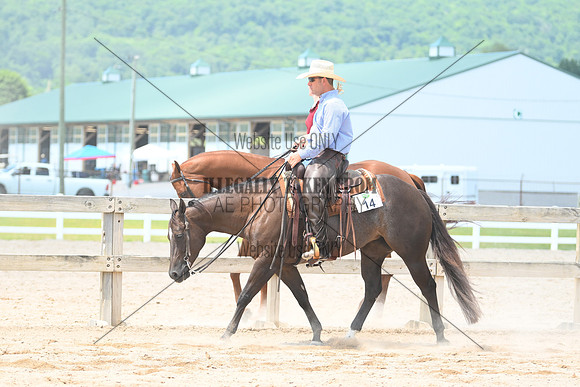 AJB_0943