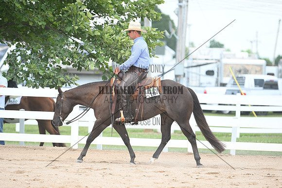 AJB_0939