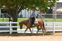 AJB_0845