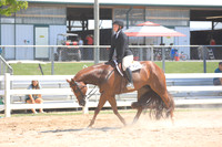 13 and Under Hunter Under Saddle
