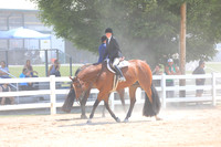 Amatuer Hunter Under Saddle