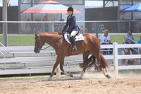 Level 1 Amatuer Hunter Under Saddle
