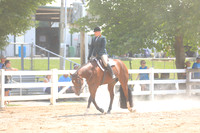 Level 1 Green Hunter Under Saddle