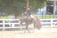 Level 1 Youth Hunter Under Saddle