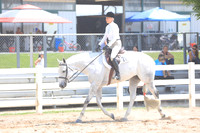 Select Hunter Under Saddle