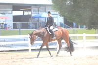 Senior Hunter Under Saddle
