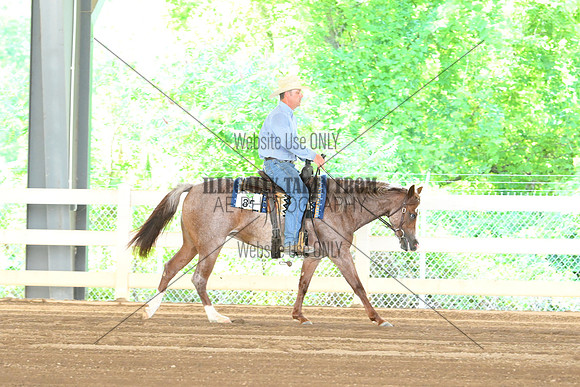 AJB_7605