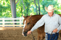 Non Pro Ranch Conformation