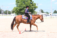 AJB_8015