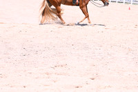 AJB_8064