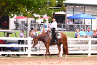 All Age Youth Western Pleasure