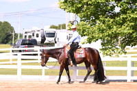 AJB_8198