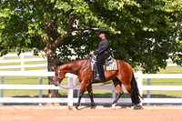 AJB_8201