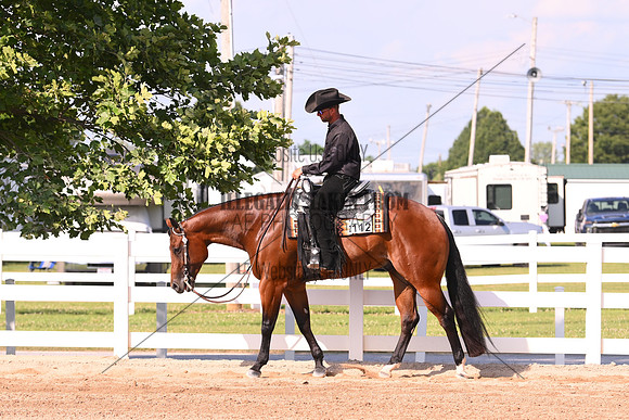 AJB_8204