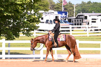 AJB_8206