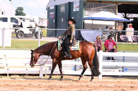 Lvl 1 Amateur Western Pleasure