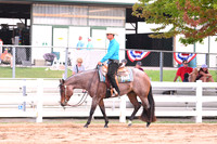 Lvl 1 Western Pleasure