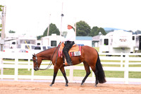 AJB_8479