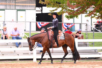 Lvl 1 Youth Western Pleasure